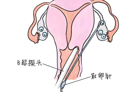 http://xiamen.huochezhan.net/post/205.html|厦门供卵助孕