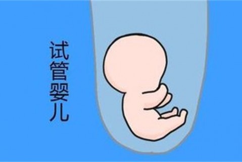 培养厦门捐卵宝宝艺术细胞的小技巧