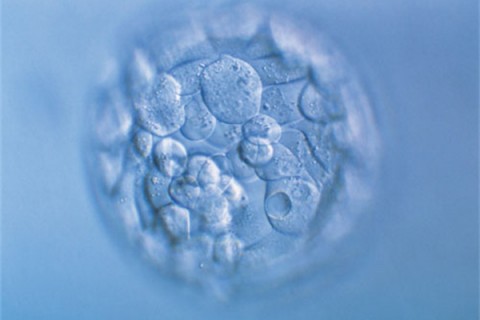 http://xiamen.huochezhan.net/post/200.html|厦门新闻中心