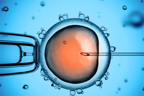 http://xiamen.huochezhan.net/post/199.html|厦门供卵助孕
